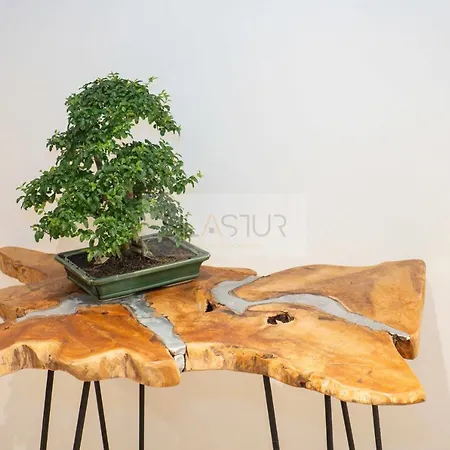 La Marizada By Silastur Appartement Gijón