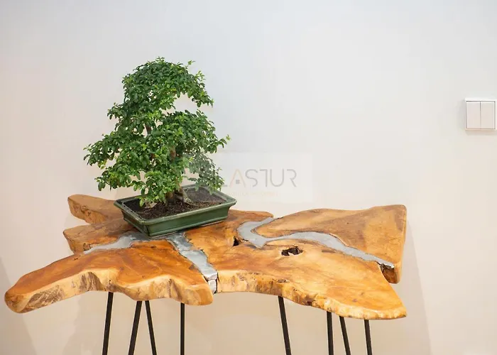 La Marizada Apartamento Gijón