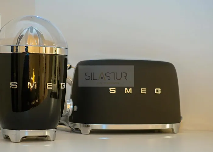 Apartamento La Marizada Gijón